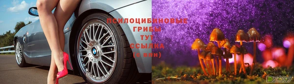 дживик Беломорск