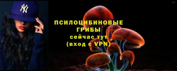 прущая мука Богородск