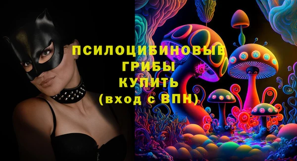 дживик Беломорск