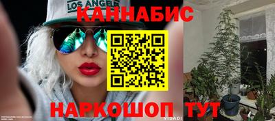 стаф Малоярославец