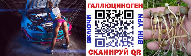 blacksprut зеркало  Губкинский  Псилоцибиновые грибы мухоморы 