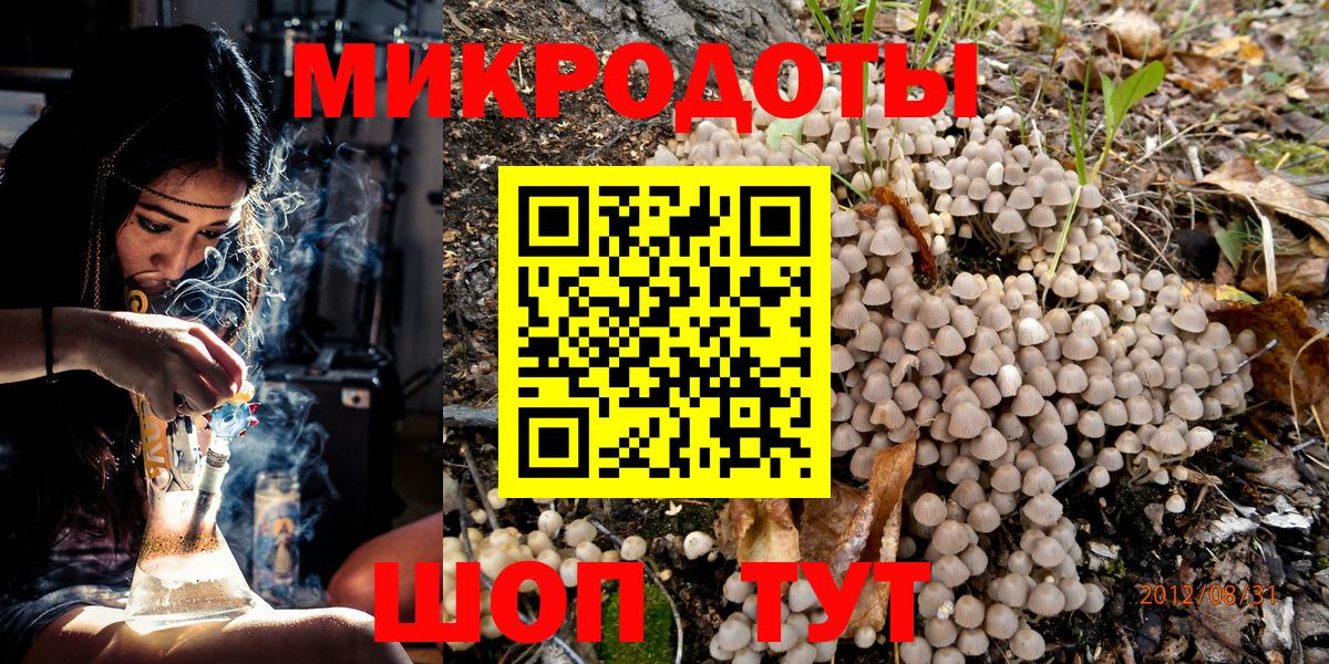 Псилоцибиновые грибы MAGIC MUSHROOMS  Вход с VPN  Губкинский  даркнет сайт  Галлюциногенные грибы MAGIC MUSHROOMS 
